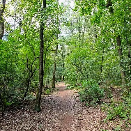 In Near Forest Water