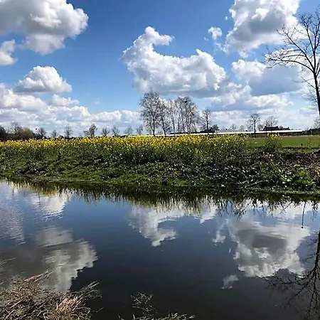 Отель In Near Forest Water